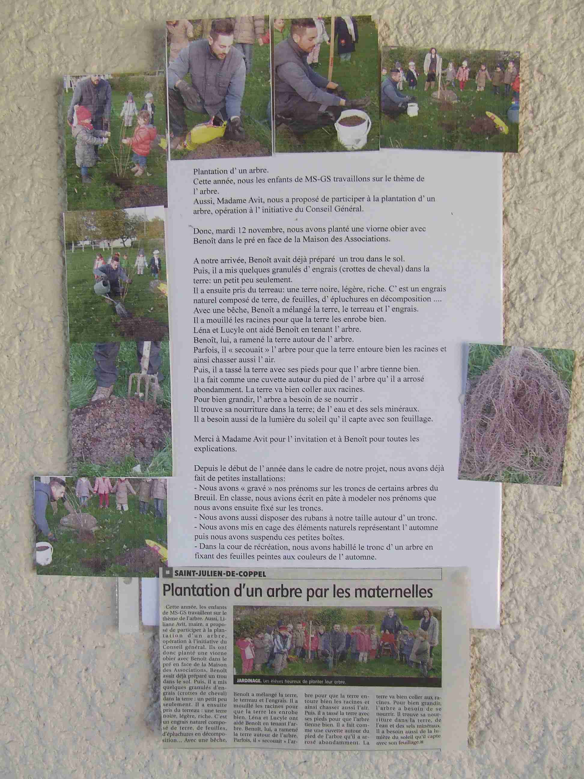 DSCF7281