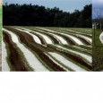 >>>Lieux et dates de collecte des plastiques agricoles 2023, consignes et contacts  