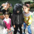   La veille de Toussaint, de nombreux enfants, déguisés pour la circonstance ont parcouru leur village, à la quête de friandises. Une bonne occasion de faire des rencontres de voisinage […]