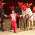 Une exposition : « La passion du cirque » sera présente dans plusieurs bibliothèque de la communauté de communes du 30 janvier au 20 juin : Vertaizon, Egliseneuve, Bouzel, Vassel, Billom, Beauregard […]