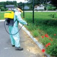 Les services techniques vont procéder à minima à des traitements phytosanitaires indispensables à l’entretien sur la voirie et les espaces publics. Ces traitements auront lieu semaine du 16 au 20 […]