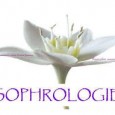 >>>Sophrologie