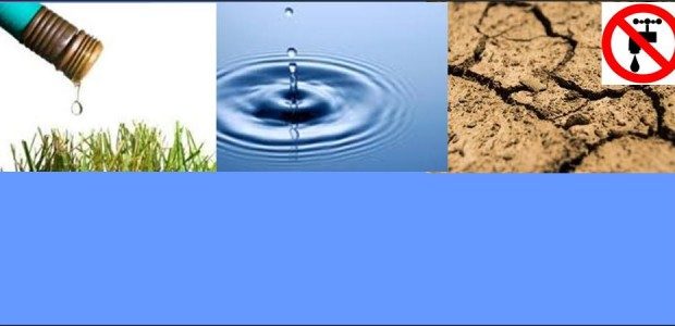Le suivi quotidien de la situation hydrologique montre une dégradation de l’état de la ressource en eau, liée à l’absence de précipitations et aux températures relativement élevées. Le Préfet du […]