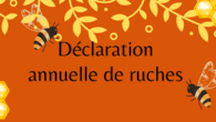 >>>Site de la Direction Régionale de l’Alimentation, de l’Agriculture et de la Forêt de la région Auvergne-Rhône-Alpes >>>voir la plaquette déclarer ses ruches  