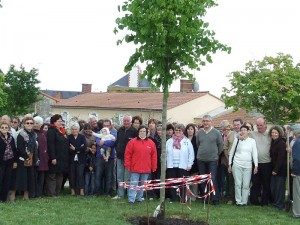 arbre20ans