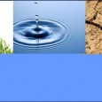 Depuis le 11 août dernier des mesures de restriction des usages de l’eau s’appliquent dans le Puy-de-Dôme. Le 28 septembre, après consultation des membres du comité du suivi hydrologique,  le Préfet […]