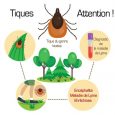 La maladie de Lyme ou borréliose de Lyme est  une infection due à une bactérie transportée par une tique infectées. Toutes les tiques ne sont pas infectées par la bactérie […]