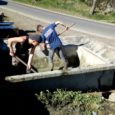 Les jeunes ont des idées … et du courage ! Le lavoir du Chalard a retrouvé un air de printemps après la toilette pratiquée par deux jeunes qui, munis de […]